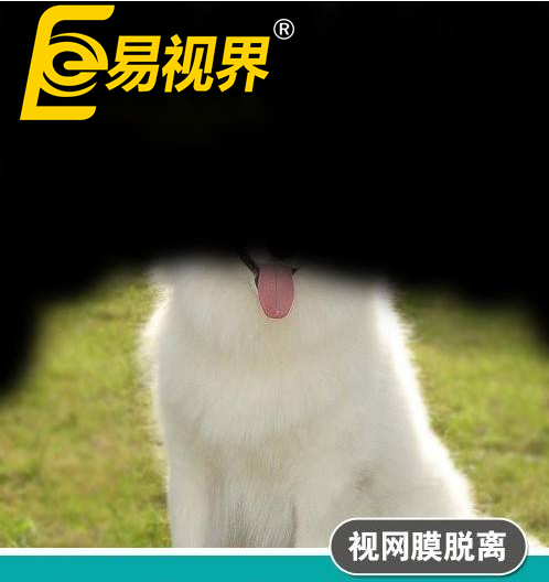 不一樣的眼病，不一
                </div>
                <div   id=